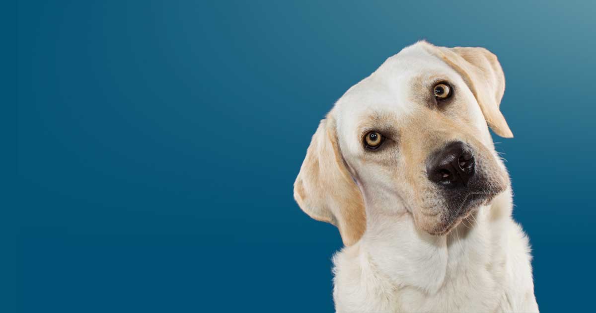 ISDN Shut Off - Now what?