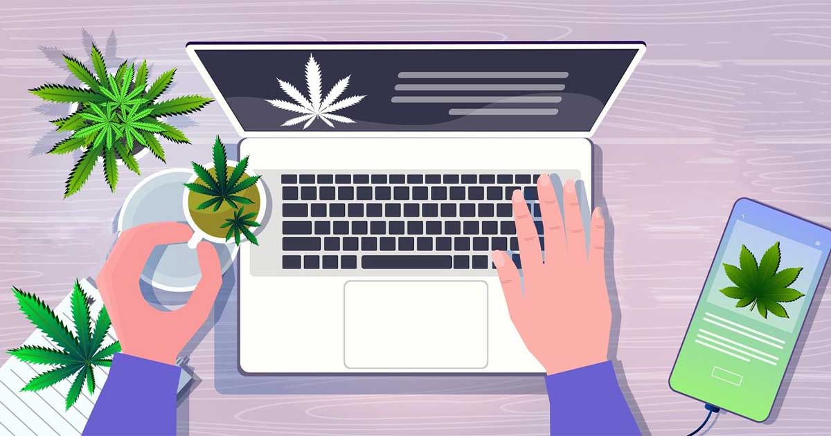 Telecom and Cannabis Industry similarities